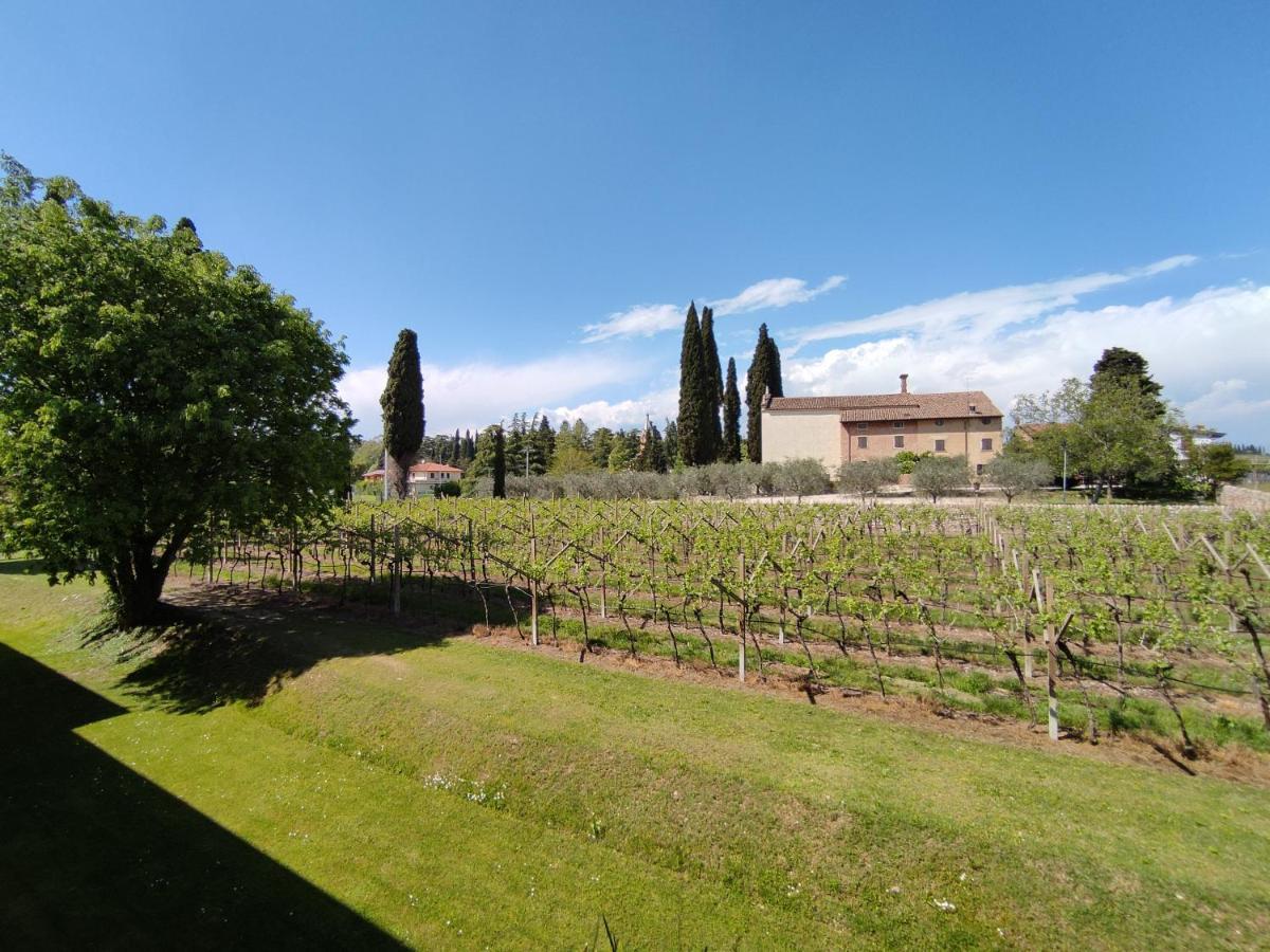 Agriturismo La Vigna Colà Dış mekan fotoğraf